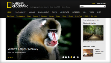 在线手机号轰炸测试